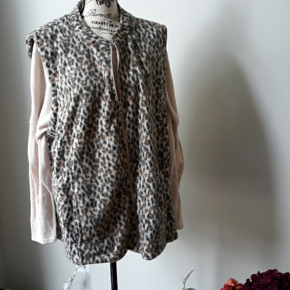 Blouse with vest over it